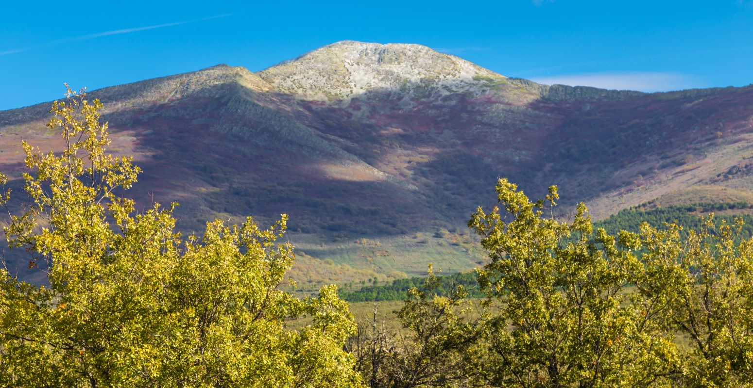 barbatona pico del ocejon viajacontufamilia